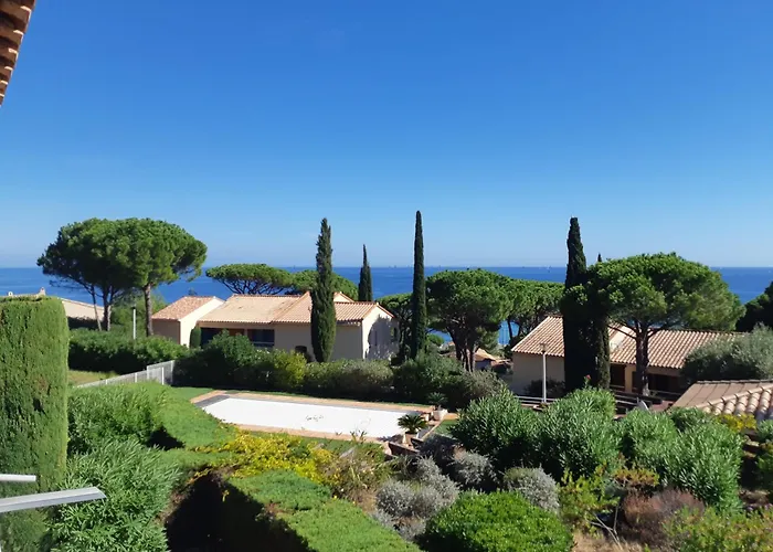 Chene Liege * Sainte-Maxime