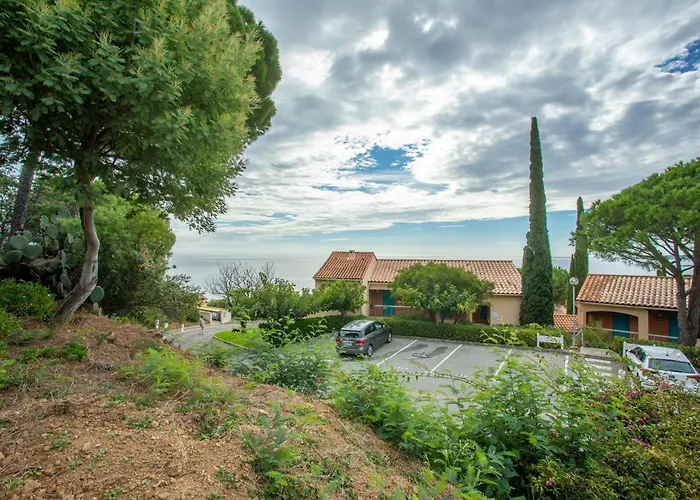 Chene Liege Sainte-Maxime