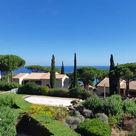 Chene Liege * Sainte-Maxime